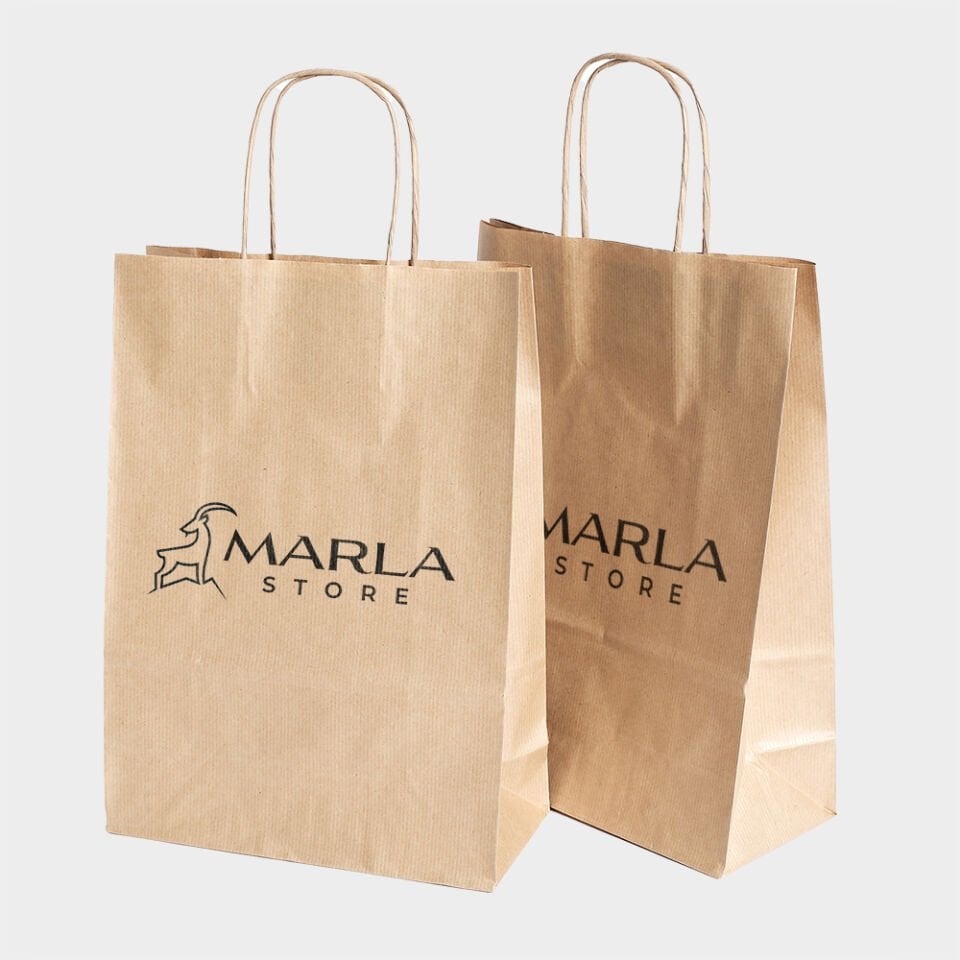 Burgu Saplı Kağıt Çanta